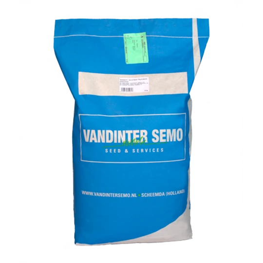 VDS Zwaardherik (Eruca Sativa) - Afbeelding 2